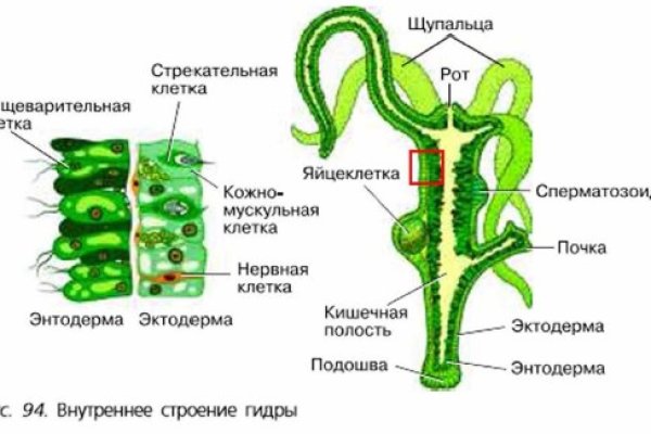 Даркнет наркотики